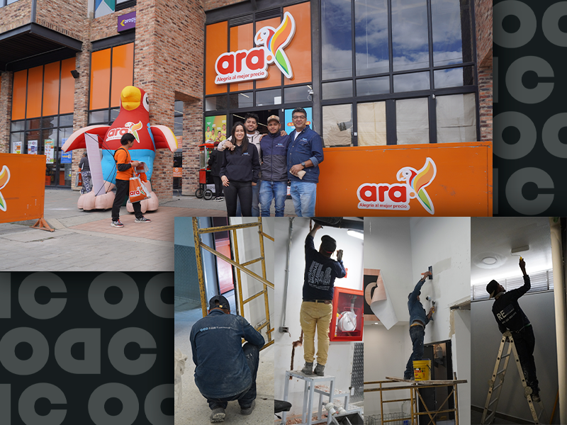 Proyecto 3